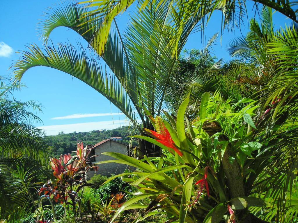 Hotel Morada Crisalida Praia do Rosa Exteriér fotografie